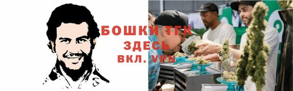 соль ск Гусь-Хрустальный