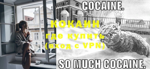 МДПВ Горняк