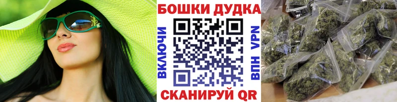 Каннабис план  купить закладку  Железногорск-Илимский 